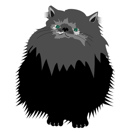 nice persian cat on whiteのイラスト素材