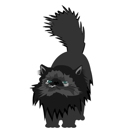 nice persian cat on white backgroundのイラスト素材