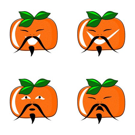 Mandarin on whiteのイラスト素材