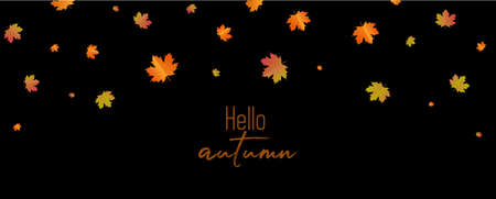 Autumn background arranged with leaves.のイラスト素材