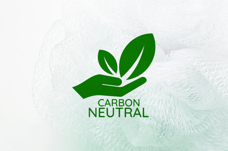 Ecology concept. Green leaf in the hand on a white backgroundの写真素材