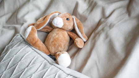 Rabbit toyの写真素材