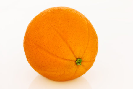 Orange on a light backgroundの写真素材