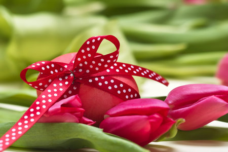  Easter egg with spotted with red loop before tulipsの写真素材