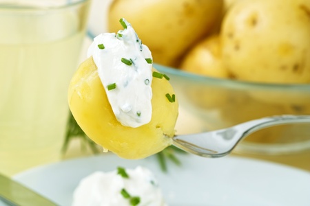 Jacket potatoes with herbal curdの写真素材