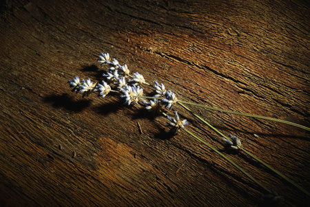 Lavender on a wooden backgroundの写真素材