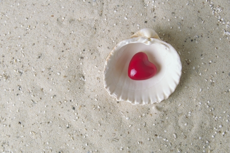 A red heart in a mussel on fine sandの写真素材