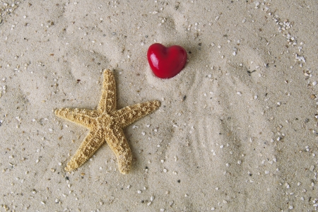 A red heart above a starfish on fine sandの写真素材
