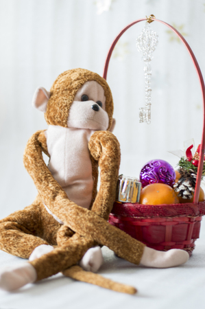 The symbol of the new year monkeyの写真素材