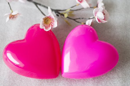 Two lovers heart close-upの写真素材