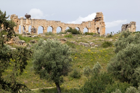 Old Roman Columns and  Citry Entrance with stork, Volubilis, Morocco. Volubilis is declared as a UNESCO World Heritage site.のeditorial素材