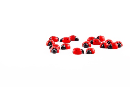 Plastic Ladybirds isolated on white backgroundの写真素材