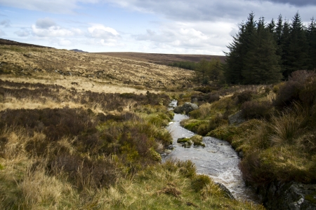 Small river  landscape inside Wicklow Park and Sally Gap, Irelandの写真素材