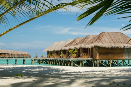 Typical Maldives resort water houses framed with palm tree のeditorial素材