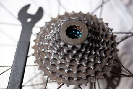 Rear bicycle cog cassette bearing maintenance required close-up. Ready for repair, clean and...