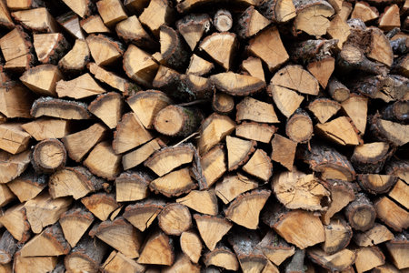 Stacked firewood background. Firewood pattern. Wood saving wall. Stock of wood for kindling a fireplace for the winter. Natural materials background.の写真素材
