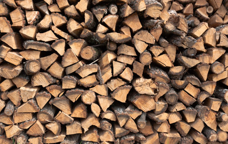 Stacked firewood background. Firewood pattern. Wood saving wall. Stock of wood for kindling a fireplace for the winter. Natural materials background.の写真素材