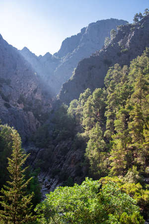 View on Canyon With Green Mountain Forest And Bright Sun Light Rays Between Rocks In Turkeyの写真素材