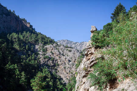 Rock mountain cliff with green grass and trees under blue sky. Lonely mountain pick over the cliffの写真素材