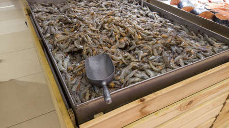 Fresh shrimp at the market for sell. Sea shrimps selling in supermarket. Seafood market.の写真素材