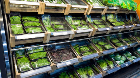 Spring Onions also known as Salad Onions, Scallions or Green Onions in the market fridge. Fresh scallion in supermarket. Refrigerator for greens.の写真素材