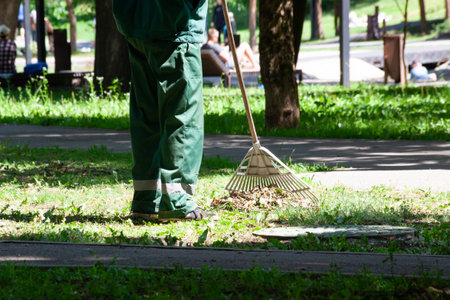 Raking of mowed grass on lawn in summer park. Clean in garden back yard. Volunteering, cleaning, and ecology concept. seasonal gardening.の写真素材