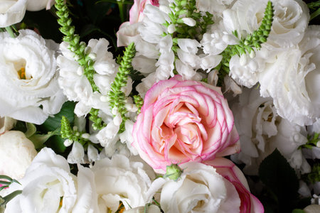 Rose flower bouquet close up. Background of white and pink rosesの写真素材