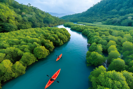 Two kayakers paddle along a peaceful river, surrounded by vibrant green mangrove trees. The scene captures nature's beauty under a clear sky.の素材