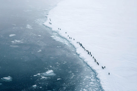 A group of people walks along the icy edge of a frozen landscape. They navigate the cold and rugged terrain, surrounded by freezing waters and snow.の素材