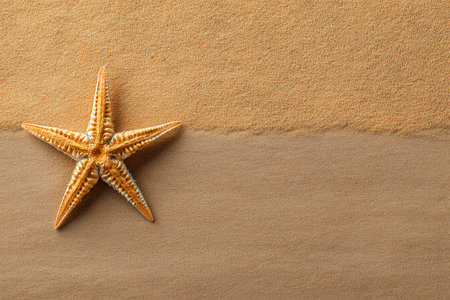 A starfish lies on golden beach sand, surrounded by soft grains. The calm atmosphere suggests a warm, sunny day, perfect for beach walks and nature observation.の素材