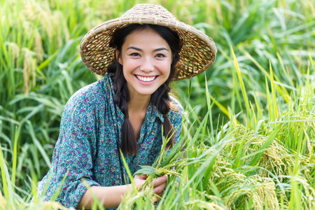 A woman smiles while gathering ripe rice in a green paddy field. She wears a traditional straw hat and enjoys the work under the sunlight.の素材