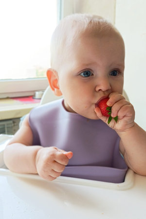 A baby sits in a high chair at home. The baby plays with a strawberry, holding it and trying to eat it. The moment captures curiosity during lunchtime.の写真素材