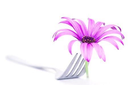 Fork and daisyの写真素材