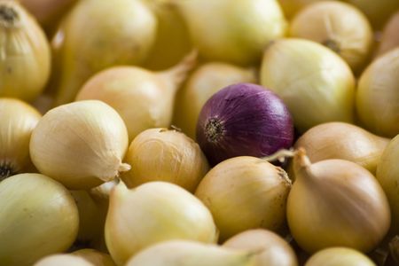 Yellow onions with red onion in the centerの写真素材