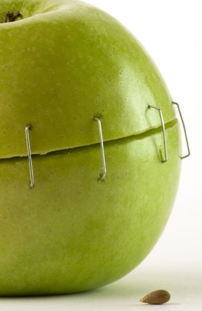 metal staples green apple seed over whiteの写真素材