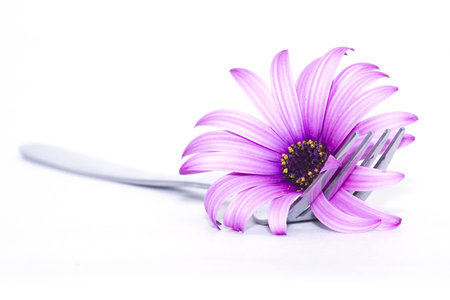 fork and flowerの写真素材