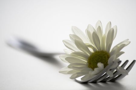 fork and flowerの写真素材
