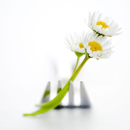 fork and flowersの写真素材