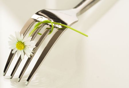 Fork and small white daisyの写真素材