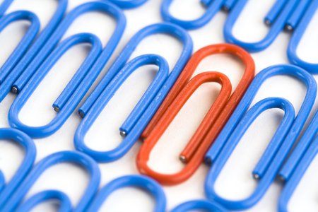 Paper clips on a white background