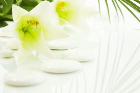 madonna lily and spa stones on whiteの写真素材