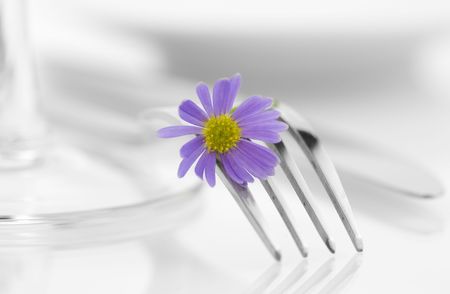 Place setting with purple flower. Health and diet conceptの写真素材