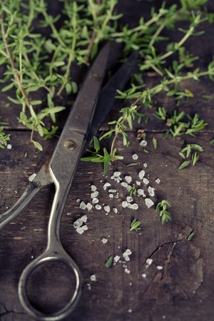 Thyme and scissors on the old kitchen tableの写真素材