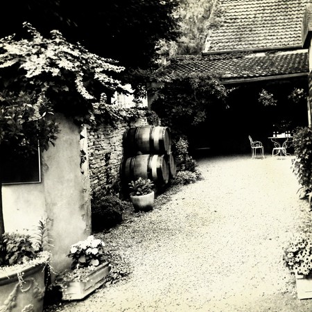 vineyard in Burgundy on grungy paperの写真素材