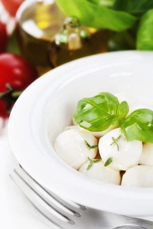 mozzarella with fresh basil, olive oil, garlic and tomatoesの写真素材