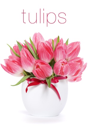 Beautiful pink tulips in a vase on a white background (with sample text)の写真素材