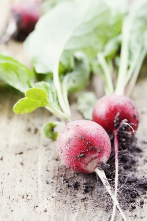 Radishes with leaves on wooden backgroundの写真素材
