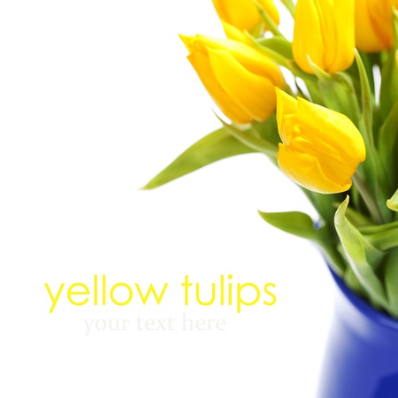 bouquet of the fresh tulips on white background  (with easy removable text )の写真素材