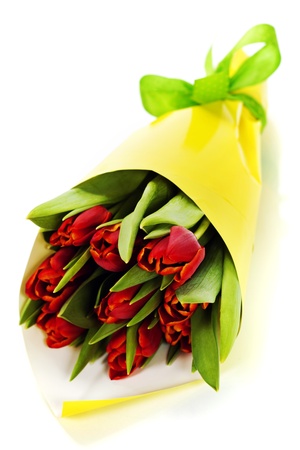 bouquet of  fresh red tulips on white backgroundの写真素材