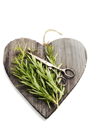 Fresh herbs and spices on heart shaped cutting board over white (health or vehetarian concept)の写真素材